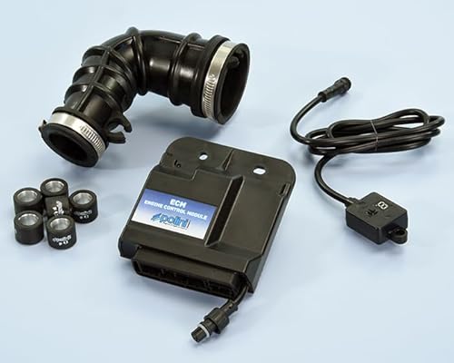 Centralina Ecm Piaggio/Vespa 50 E4