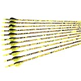 ACCMOS 26 Inch Arrow 500 Spine Arrow Target Practice Arrow Hunting Arrow Carbon Arrows Compound Bow