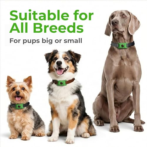 Image of FurLife Green Pet Tag - Calming & Flea and Tick Prevention Pendant for Dogs & Cats | Waterproof Collar Tag | Safe for All Breeds