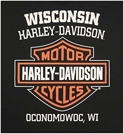 Harley-Davidson Men's Distressed Shady Skull Short Sleeve T-Shirt, Solid Black