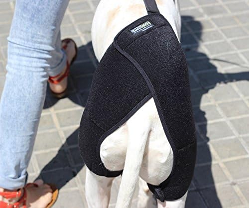 Miniatura 8 de Ortocanis - Soporte de cadera para perros con displasia de cadera u osteoartritis (L)
