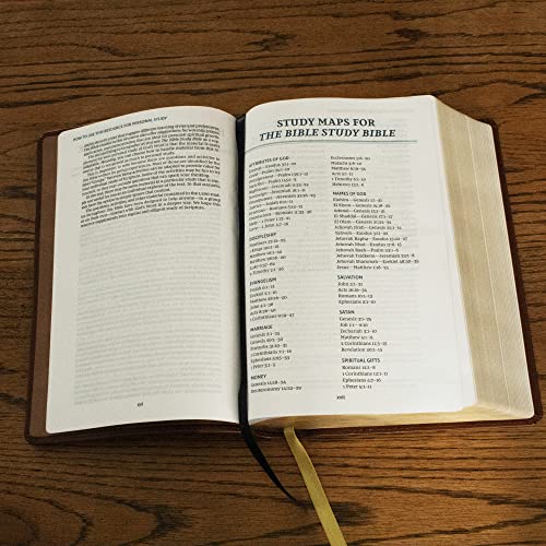 Nkjv, the Bible Study Bible, Hardcover, Comfort Print: A Study Guide for Every Chapter of the Bible