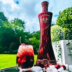 Buy NE10 Black Cherry Vodka 70cl – Premium British Spirit with Rich Dark Cherry Flavor Perfect for Cocktails, Shots & Gifting, 37.5% Vol Buy NE10 Black Cherry Vodka 70cl – Premium British Spirit with Rich Dark Cherry Flavor Perfect for Cocktails, Shots & Gifting, 37.5% Vol – Ne10 Vodka