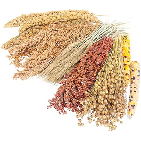 LUVCOSY Hamster Organic Sprays Set = Wheat + Flax + Yellow Millet + Panicle Millet + Corn Cob + White/Red Sorghum Stems, Pet Habitat Bedding Decor Accessories for Hamsters Cover