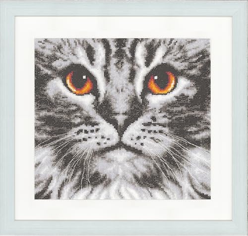 Kit point de croix compté Vervaco chat : broderie naissance personnalisée 23x21 cm