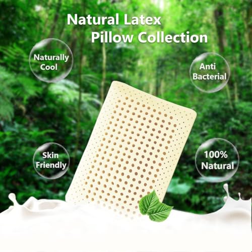Image of 100% Natural Latex, 24X16X4 /5 Inch, Pack of 1