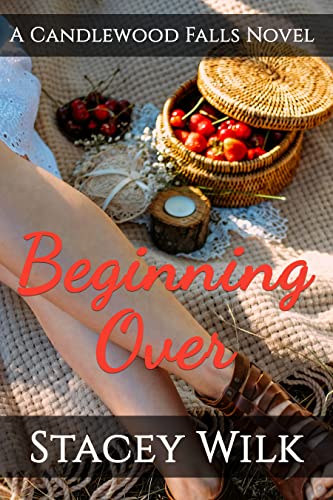 Beginning Over (Hometown Series Book 4)