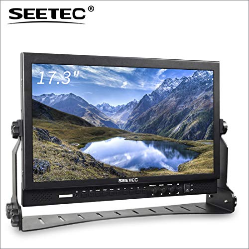 17.3" IPS Pro Broadcast LCD
