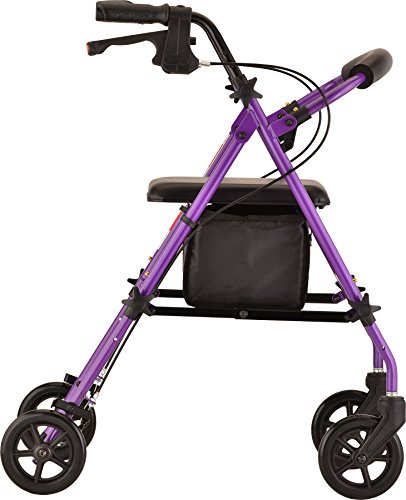 Nova Journey Steel Rollator Walker, Purple #TOP2