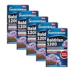 Klosterfrau Baldrian 1200 | mit hochdosiertem Baldrianwurzel-Extrakt | B-Vitamine tragen zu einer normalen Funktion des Nervensystems bei | Zur Unterstützung eines ruhigen Schlafs | 5 x 30 Tabletten