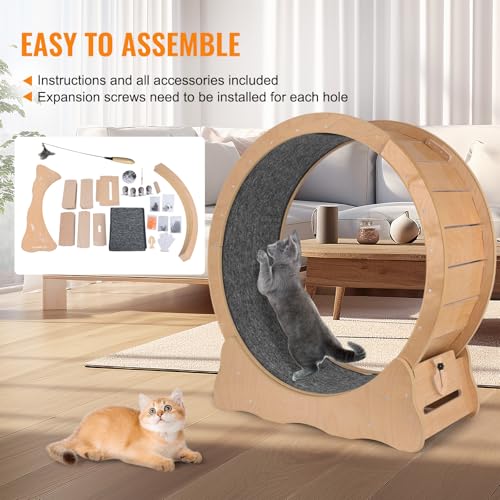 VAIDPRO Roda para gatos, roda de exercícios para gatos, rodas de corrida de 89,9 cm para gatos em am