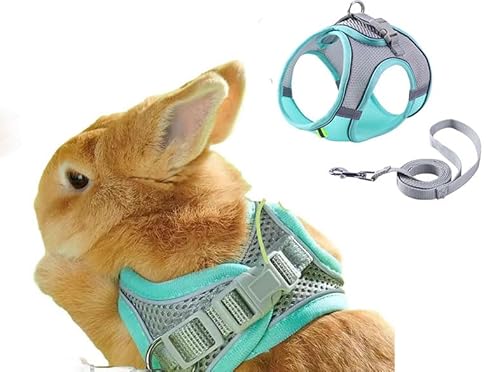 AttRex ETM L q n[lX [h \ [v  Oɂ ʋC ȒP qh~ ^s XgX U ł pi (XXS,O[)