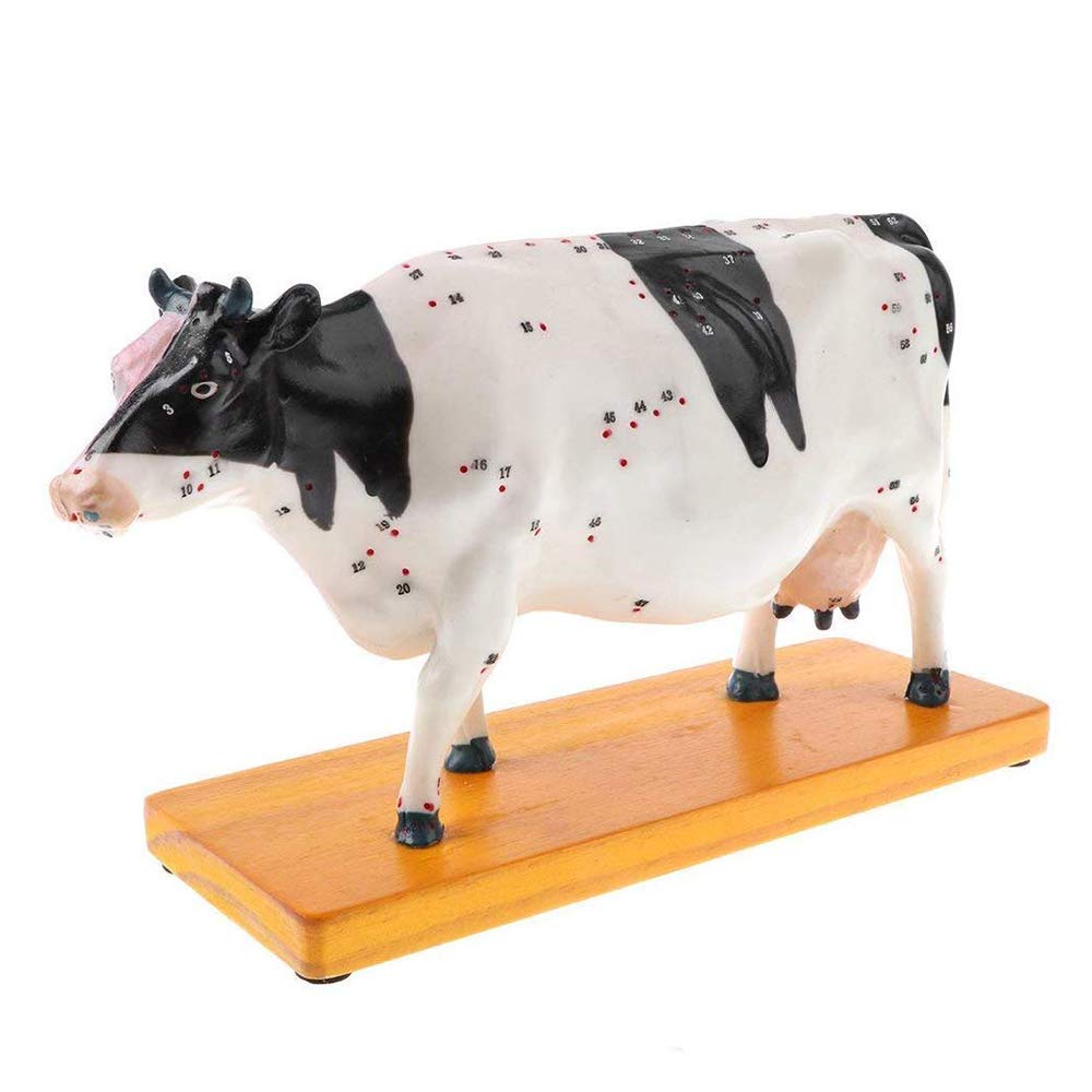 Sjdopulse Cattle Acupuncture Model - Acupuncture Model - Animal Anatomical Model Cattle Model - Animal Dissection Cattle Cow Anatomy Anatomical - For Study Medical Teaching Model