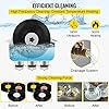 VEVOR Nettoyeur à Ultrasons pour Disque Vinyle Nettoyeur Ultrasonique Professionnel 6L 4 Disques à La Fois Machine à Ultrason Bac Inox Chauffage Commande par Bouton Nettoyage Profonde Bijoux Prothèse