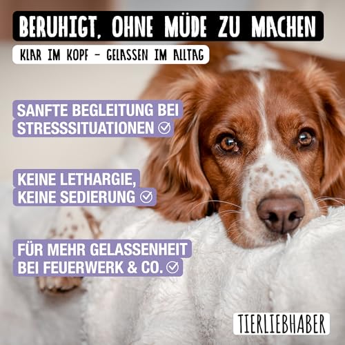 TIERLIEBHABER - Chillout Pulver 200g Natürliche Beruhigungshilfe & Anti-Stress Ergänzung für Hunde – Unterstützung bei Stress, Autofahrt, Silvester, Training – Beruhigungsmittel für Hunde & Pulverform