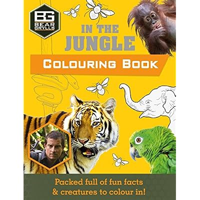 Bear Grylls Colouring Books