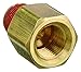 Parker VS222P-2-2 Reducer Adapter, Brass, 1/8 in. x 1/8 in