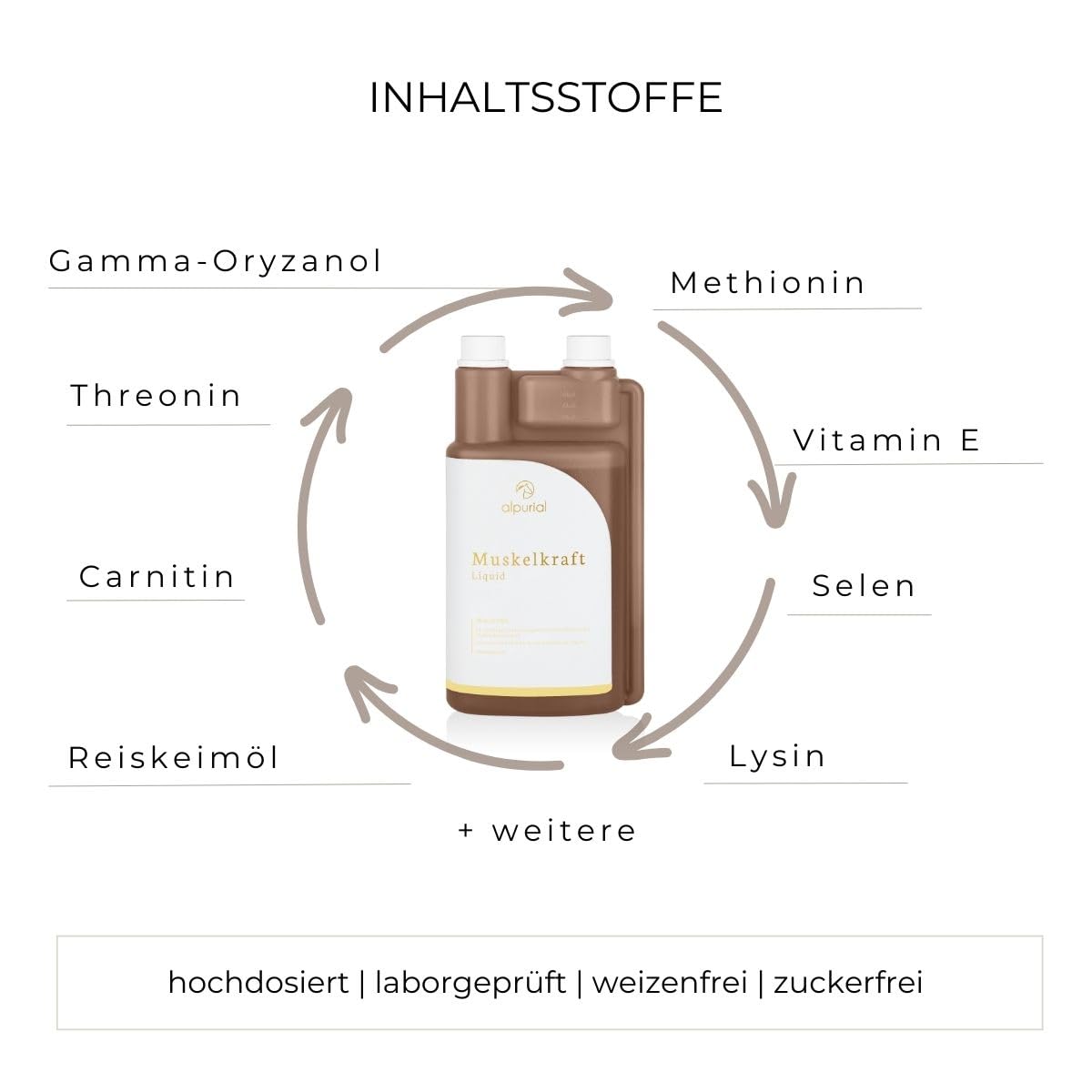 Muskelkraft – Ergänzungsfuttermittel für Pferde zur ergänzenden Fütterung im Muskelaufbau – mit Aminosäuren, Vitamin E & Reiskeimöl – vom Tierarzt entwickelt