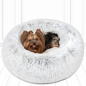 Friends Forever Donut Cat Bed Faux Fur Dog Beds for Medium Small Dogs Self Warming Indoor Round Pillow Cuddle