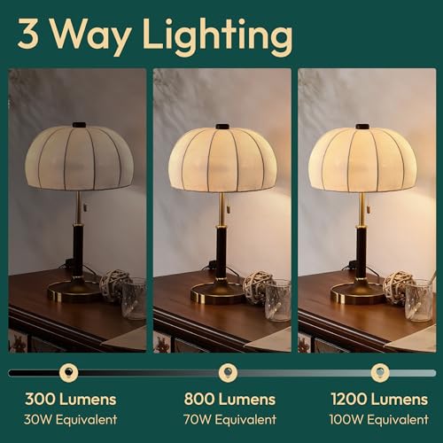 Image of ALAMPEVER 3 Way Light Bulbs 2 Pack, 30 /70 /100W Equivalent, Bright ST19 LED Light Bulb, 5000K Daylight White, 300 /800 /1200LM, 3 /5 /8W, E26 Base, Non-Dimmable, Ideal for Living Room, Bedroom, Home Office