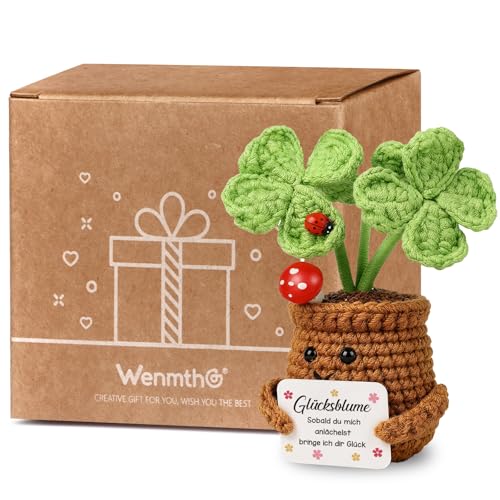 WenmthG Pocket Hug Glücksbringer Gestrickte Vierblättriges Kleeblatt Geschenk Glück für Frauen Männer Freunde Kollegen Famili, Motivation Anti Stress Geschenke Positive Kartoffel Deutsch Ersatz - 1 St