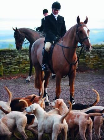 Shires Mens Clifton Hunt Coats Black 
