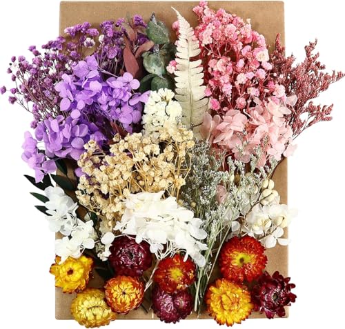 Fleurs Séchées, Fleurs Sechees Naturelles Fleur Séchée pour Bougies Fleurs Sechees Fleurs Séchées Vrac Fleur Sechees Decoration pour Bricolage Résine Epoxyn Art DIY Artisanale Scrapbooking