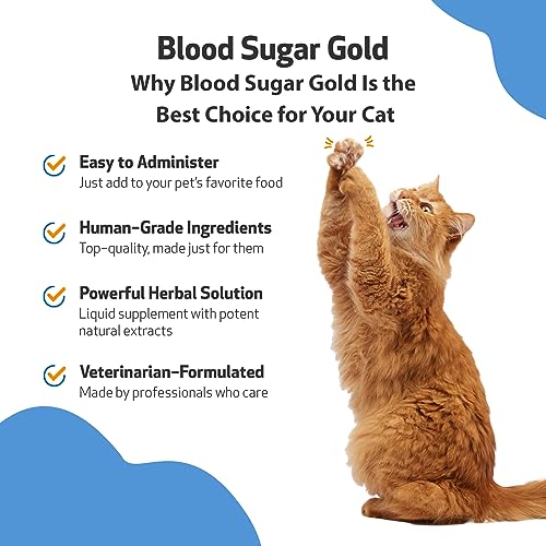How to Care for a Cat With Diabetes Teach.Workout.Love