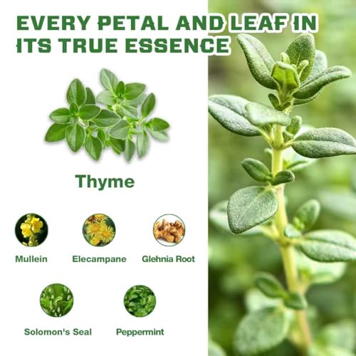 Image of VailHerbTea Thyme Leaves Tea Bags for Respiratory System Support, 6-in-1 Herbal Tea with Mullein, Elecampane for Throat & Digestive Support. Caffeine-Free - 50 Count