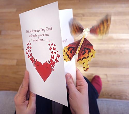 Valentine's Day Card with Magic Butterfly by wowcards - A funny card with a surprise for your Valentine.