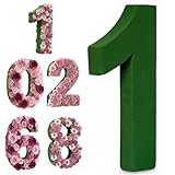 Leinuosen 12inch Dry and Wet Floral Foam Numbers Blocks Green Foam Blocks for Fresh and Artificial Flowers for Weddings Birthday Flower Arrangement Craft Project Garden Decoration(Number 1)