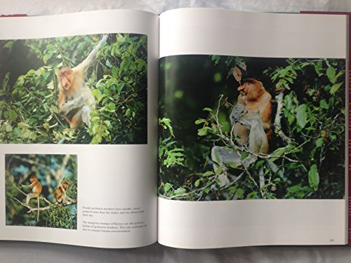 In Praise of Primates