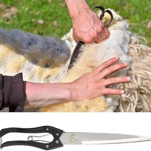 Cisaille à mouton outil de tonte manuelle durable en acier