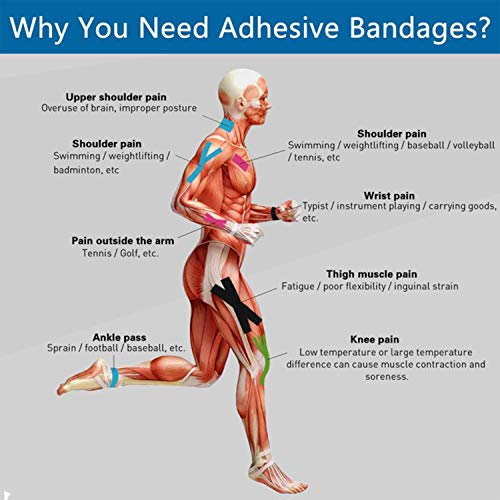 12 Pack Self Adherent Cohesive Bandage Wrap, 2” x 5 Yards, Stretch Self-Adherent Tape - Athletic Elastic Cohesive Bandage - for First Aid Medical, Sports, Ankle, Wrist Sprains - Thumbnail 5
