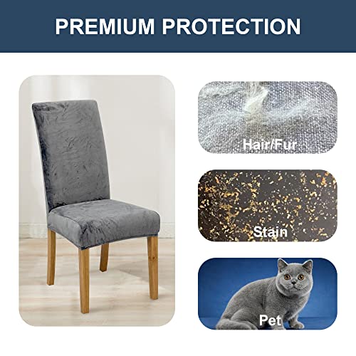 Bietyone 4 Pack Super Fit Stretch Velvet Removable Washable Dining Chair Protector Cover Seat Slipcover For Dining Room,Hotel,Ceremony, Banquet Wedding Party,Silver Grey #TOP5