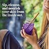 The Republic of Tea Beautifying Botanicals Beauty Blueberry Lavender Herbal Iced Tea Bags (8 count)