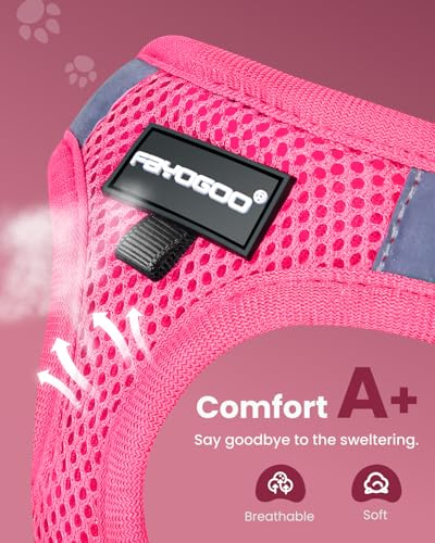 Image of FAYOGOO Cat Harness and Leash Set, Escape-Proof Step-in Vest for Walking | Step-in mesh vest, velcro + buckle + D-ring; reflective strips; includes matching leash; 5 sizes