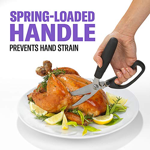 Good Cook Touch Gourmet Shears