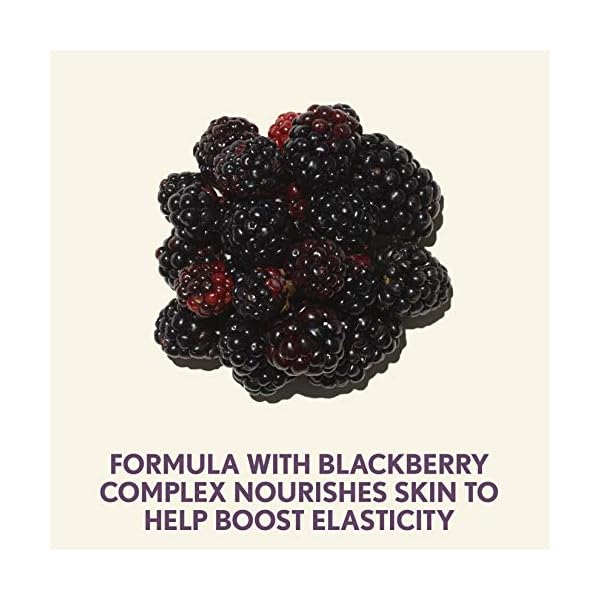 Aveeno Absolutely Ageless Restorative Night Cream Face & Neck Moisturizer with Antioxidant-Rich Blackberry Complex, Vitamin C & E, Hypoallergenic, Non-Greasy & Non-Comedogenic, 1.7 fl. oz