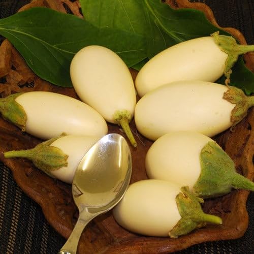 Plant World Seeds - Aubergine Japanese White Egg Seeds (Vegetable Seeds)