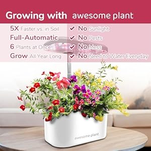6prohydroponicsgrowingsystemkit6podsindoorgardenkitwith3lwatertank3growmodesandquietpumpgrowherbslettucesaladathomekitadjustableheightupto13white Urban Country Home Decor 6pro hydroponics growing system kit 6 pods indoor garden kit with 3l watertank 3 grow modes and quiet pump grow herbs lettuce salad at home kit adjustable height up to 13 white urban country home decor