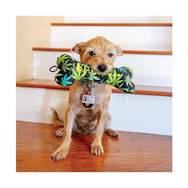 Lulubelles Baked Bone Funny Dog Toy with Squeaker (Large) | Cute Dog Birthday Gift | Fun, Durable, and Safe | Huxley & Kent Squeaky Dog Toys Lulubelles Baked Bone Funny Dog Toy with Squeaker (Large) | Cute Dog Birthday Gift | Fun, Durable, and Safe | Huxley & Kent Squeaky Dog Toys