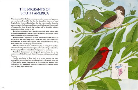 On the Wing: American Birds in Migration