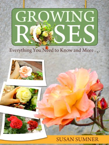 Growing Roses - Everything You Need to Know and More. . . Growing Roses - Everything You Need to Know and More. . .