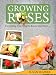 Growing Roses - Everything You Need to Know and More. . .