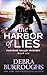 The Harbor of Lies, Mystery with a Romantic Twist (Paradise Valley Mystery Series Book 6)