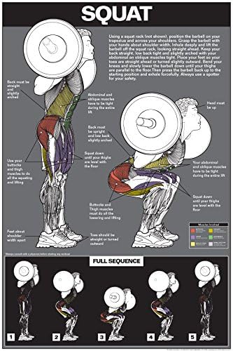 Squat Workout Laminated Poster
