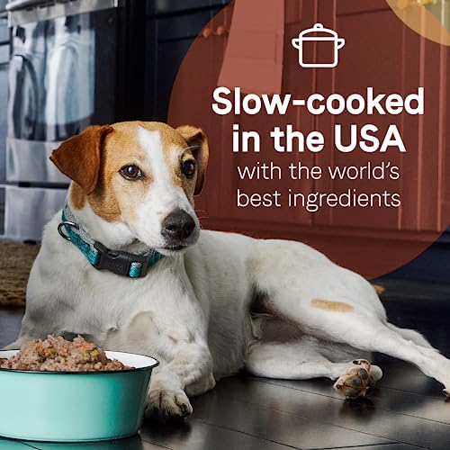 Canidae Pure 2-In-1 Goodness Pate With Real Salmon & Sweet Potatoes In Bone Broth Wet Dog Food, 11.5 Oz. (Case Of 12) #TOP4