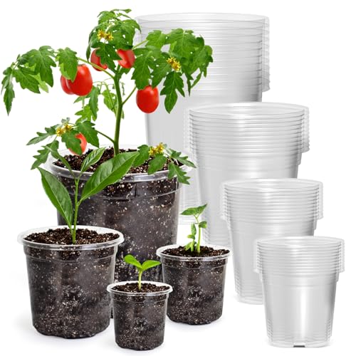 Bluepro 36 Packs 7/5/4/3.5 Inch Reinforced Clear Nursery Pots with Drainage Hole Transparent Variety Pack Plastic Plant Pot Seedling Planter for Vegetable Propagation Root Cutting Seed Starting