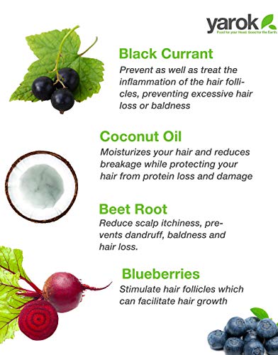 Yarok Feed Your Roots Organic Mousse, 8Oz, Made From Black Currant, Coconut Oil, Beet Root, And Blueberries, 100% Vegan, Free From Gluten, Sulfate, Alcohol & Paraben, Cruelty-Free #TOP6